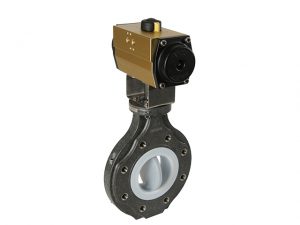 ChemValve-Schmid Valvole a farfalla con liner in PTFE e PTFE modificato Valvole di non ritorno, valvole di ritegno e valvole di ritegno a doppio disco Valvole speciali